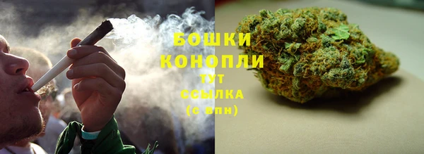 шишки Орск