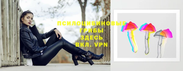 альфа пвп Медногорск