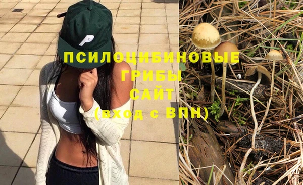 ГАЛЛЮЦИНОГЕННЫЕ ГРИБЫ Великий Новгород