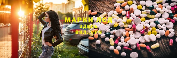 спиды Медвежьегорск