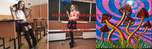 мет Мегион