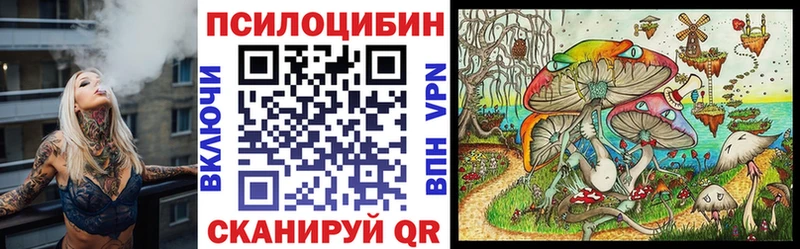где купить   маркетплейс клад  Псилоцибиновые грибы мицелий  Мензелинск 